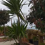 Grand Seaview Appartement