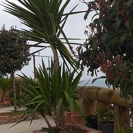 Grand Seaview Daire